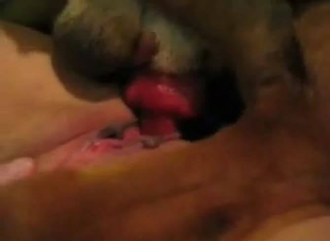 Video :Dog dick injected and penetrated the pussy of lady